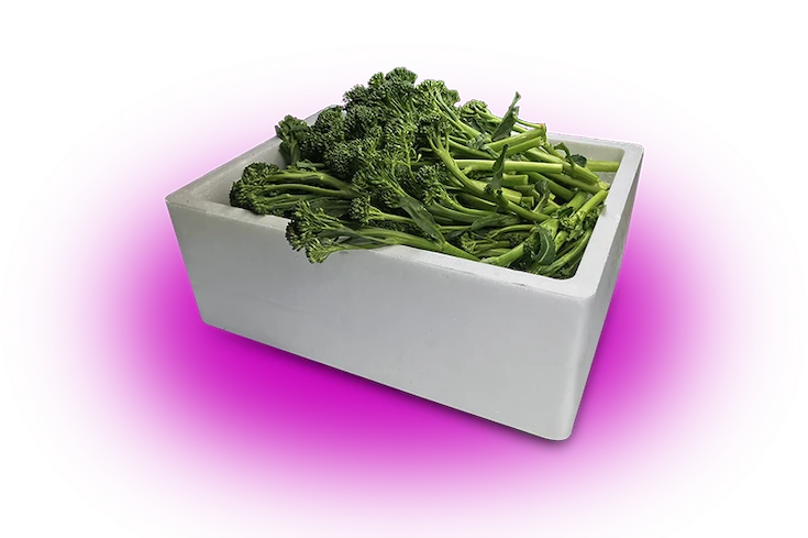 broccolini