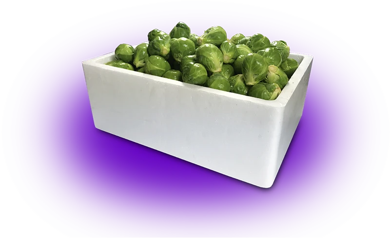 green-brussell-sprouts