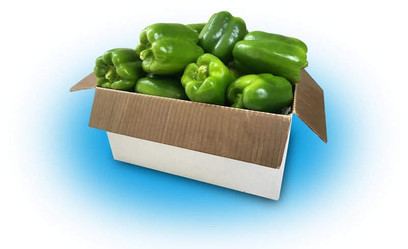 green-capsicum